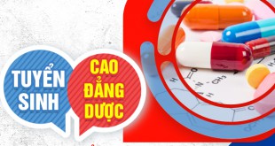 Tìm kiếm địa chỉ đào tạo Cao đẳng Dược chất lượng