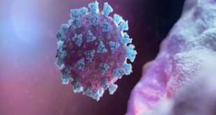 Biến thể mới của Virus corona có khả năng lây nhiễm cao hơn